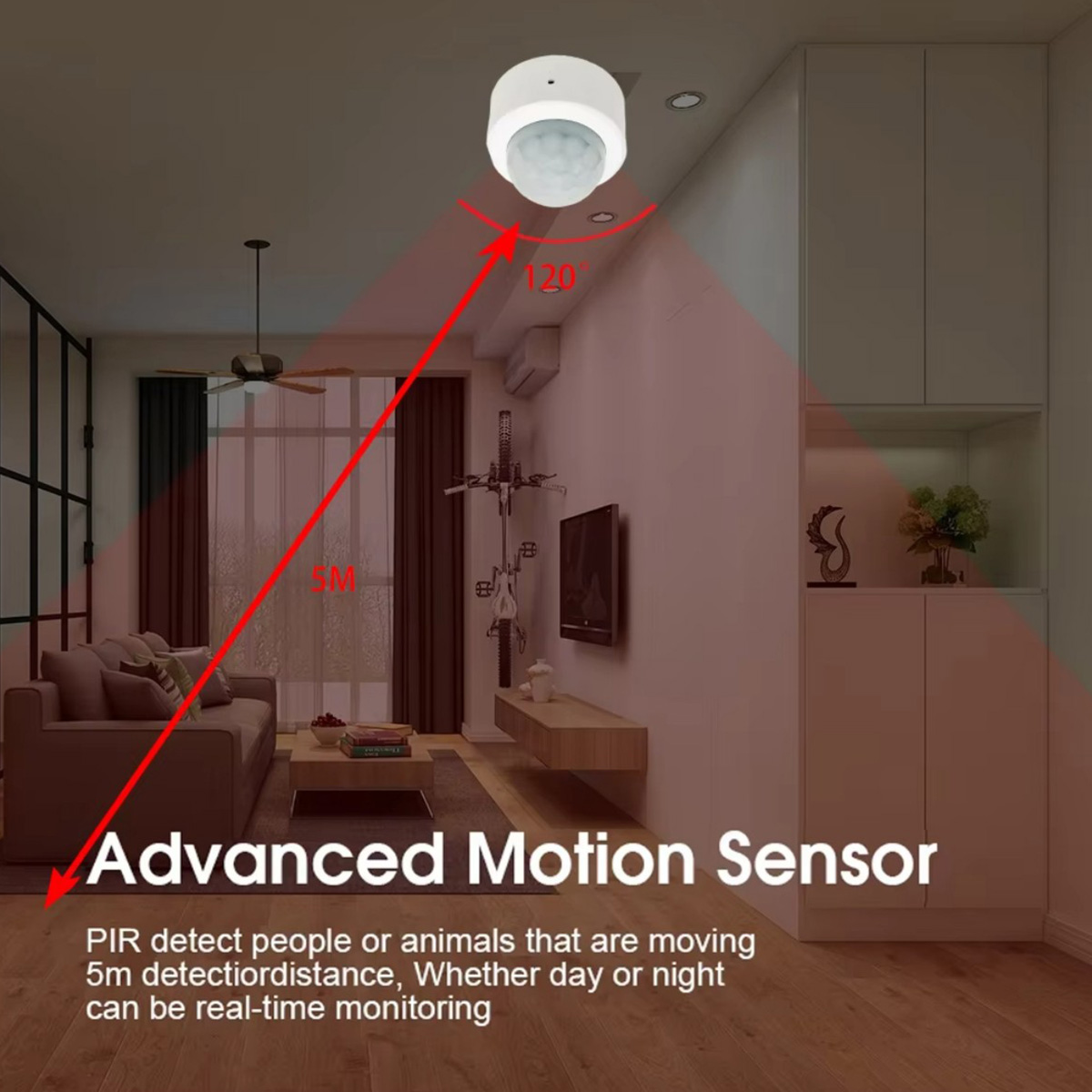 Zigbee PIR Motion Sensor Human - đánh giá và giá Zigbee Motion Sensor