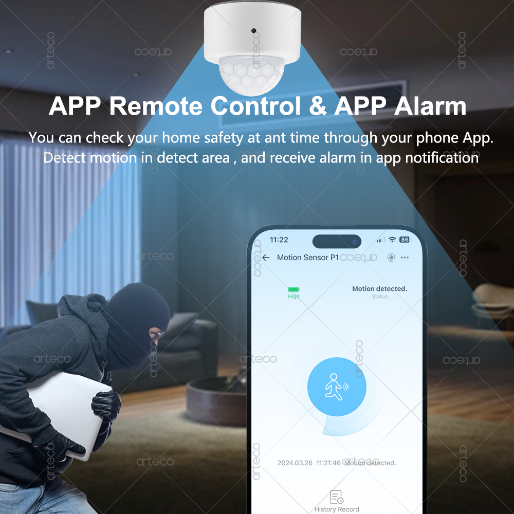 Ewelink Zigbee PIR Motion Sens - đánh giá và giá Zigbee Motion Sensor