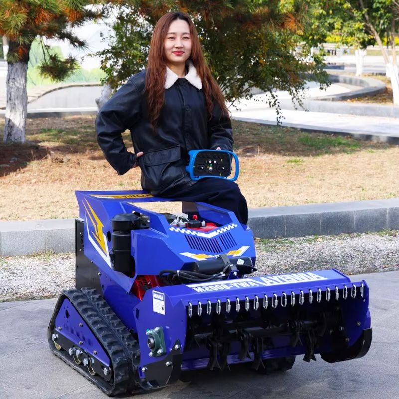 Customized High Quality Zero T - đánh giá và giá Smart Home Robot