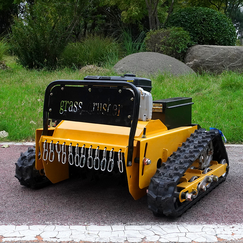 Customized Robotic Automatic L - đánh giá và giá Smart Home Robot