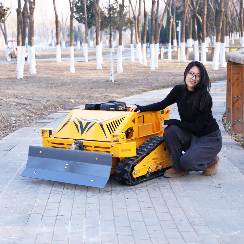 Customized Smart Durable Grass - đánh giá và giá Smart Home Robot