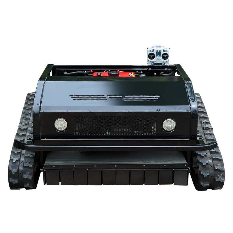 Customized Good Quality Remote - đánh giá và giá Smart Home Robot