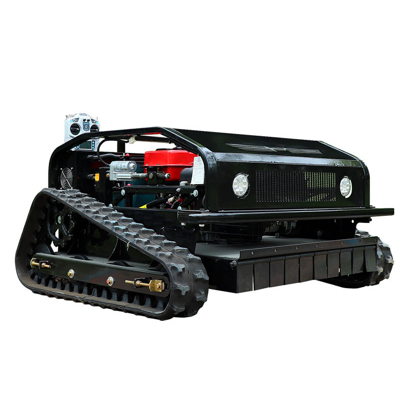 Customized Good Quality Remote - đánh giá và giá Smart Home Robot
